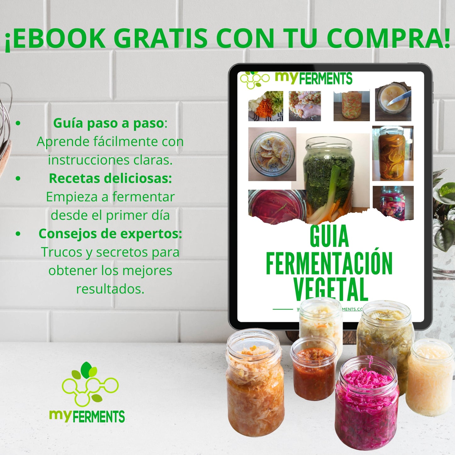 TARROS DE CRISTAL GRANDES (2 litros) PARA CONSERVAS, ENCURTIDOS Y FERMENTACIONES